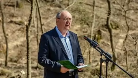 A kormány támogatja a városi erdők fejlesztését