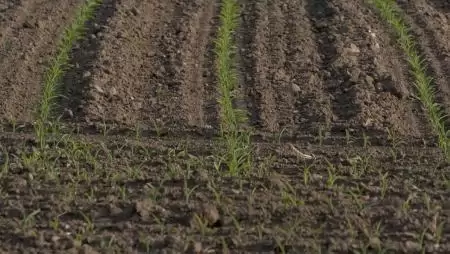 Föld hívja gazdát!