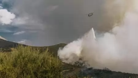 Rekord számú erdőtüzek 2025-ben – határozottabb uniós fellépést igényelnek