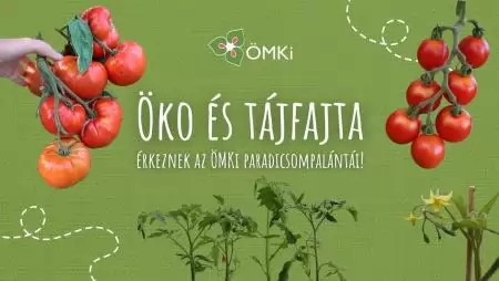 Ültess, nevelj, szüretelj: így hozhatod vissza a sokszínűséget a mindennapokba