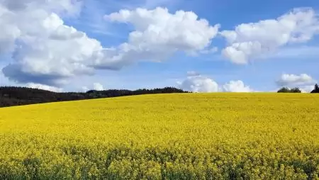 Indul az egységes kérelmek beadása