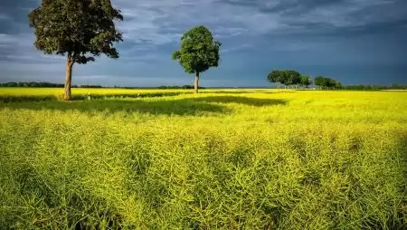 Lezárult a Regenomics projekt – az AKI is részt vett a regeneratív mezőgazdaság hatásainak vizsgálatában