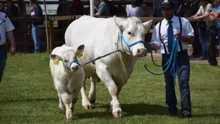32. Alföldi Állattenyésztési és Mezőgazda Napok Nemzetközi Szakkiállítás