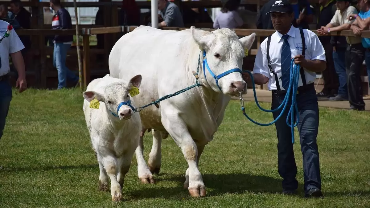 32. Alföldi Állattenyésztési és Mezőgazda Napok Nemzetközi Szakkiállítás
