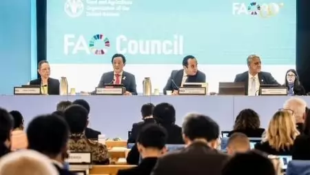 Hormuzi-szorosi válság: Az FAO főigazgatója felvázolja a kockázatokat, a fellépéseket és a szakpolitikai válaszokat