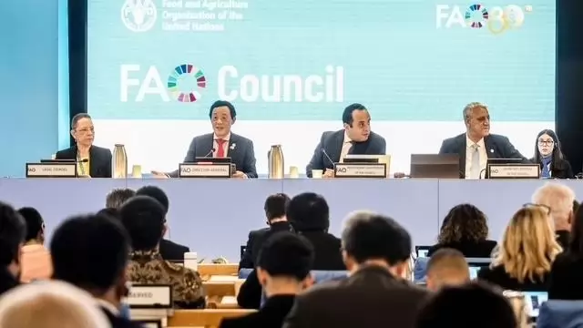 Hormuzi-szorosi válság: Az FAO főigazgatója felvázolja a kockázatokat, a fellépéseket és a szakpolitikai válaszokat