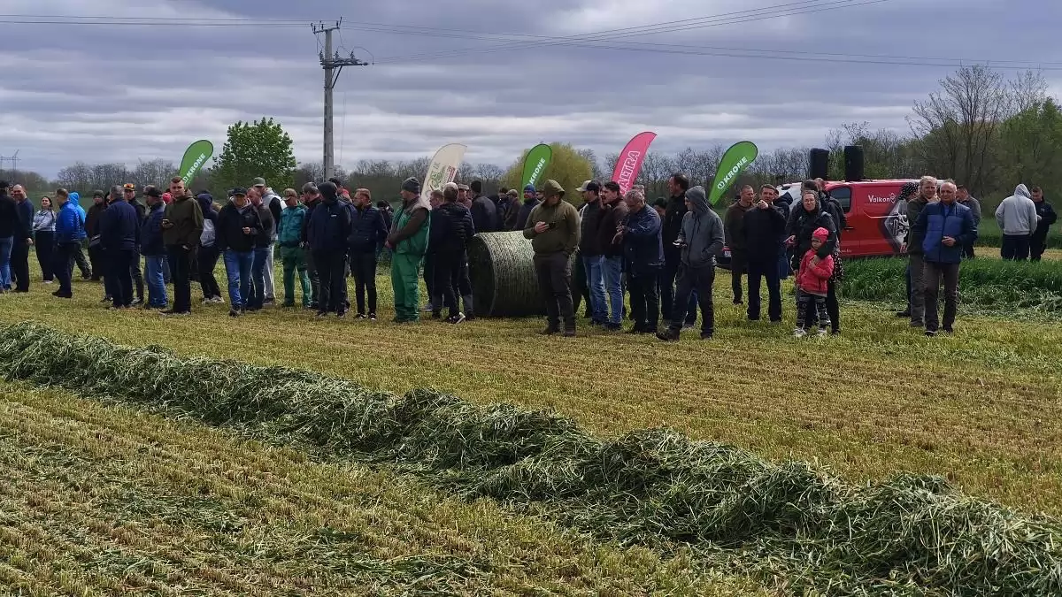 Hajdúböszörmény, KroneShow? Vissza a gyakorlathoz!