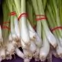 A belföldi újhagyma ára nem változott, az import drágult