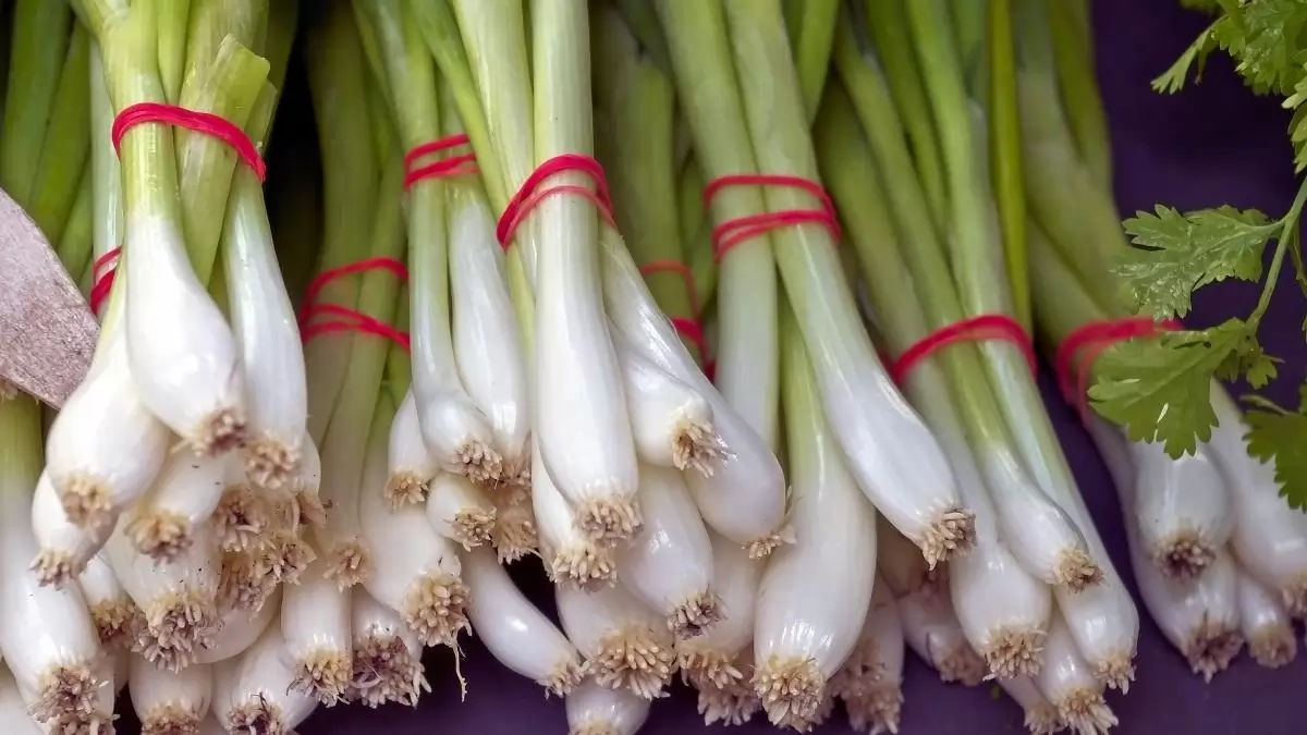 A belföldi újhagyma ára nem változott, az import drágult