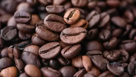 Az EU agrár-élelmiszeripari kereskedelme 3,2 milliárd eurós többletet ért el januárban