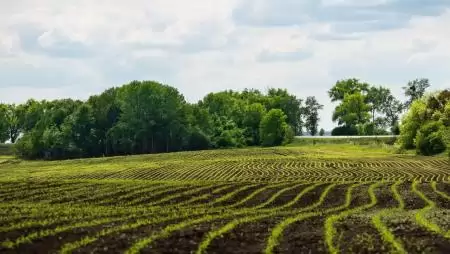 Nem csak gyors növényindulás: ezért értékelődik fel a mikrogranulált starter szerepe a talajélet és a termésbiztonság támogatásában