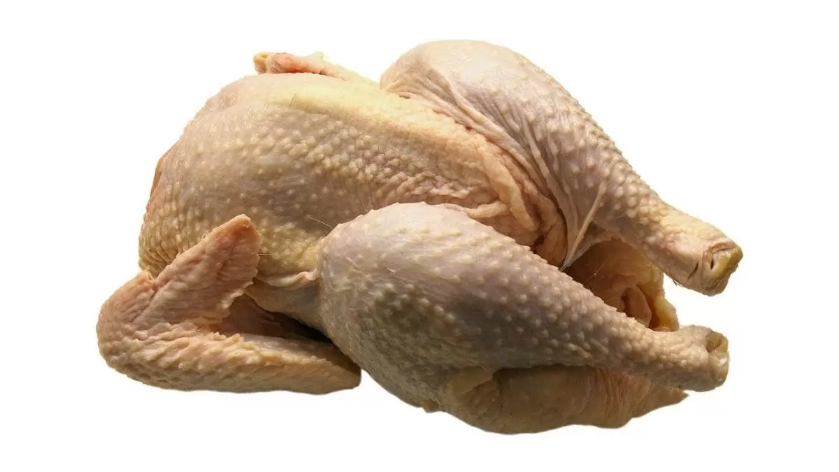 A csirkecomb feldolgozói értékesítési ára mérséklődött