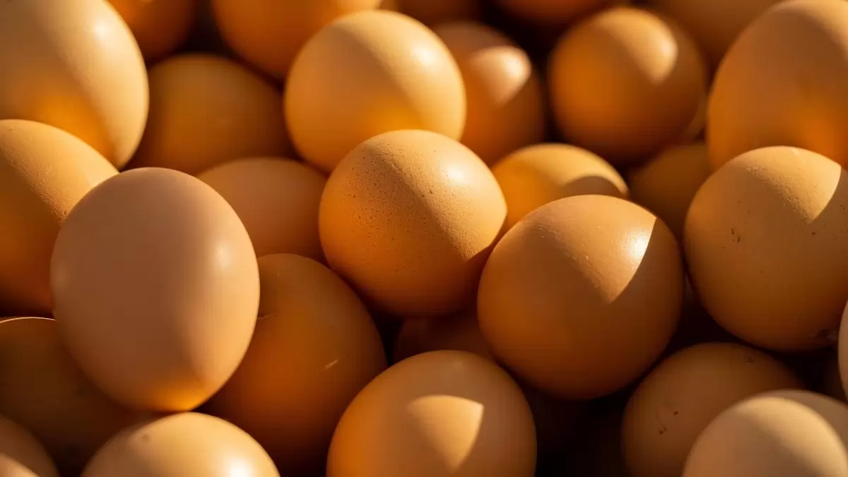 Visszaesett a héjas tojás importja az év első két hónapjában