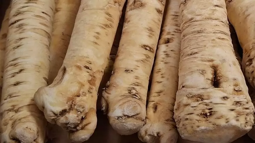 Továbbra is a kiváló minőségű magyar tormát keresi a piac