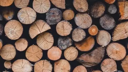 Javuló helyzet az illegális faanyag-kereskedelemben: nincs már extrém magas kockázatú vármegye