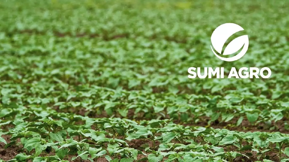 Alapgyomirtásban a Pladge az alap