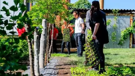 Hetedik éve ültet reményt a MATE: 15.000 palántával segíti a rászoruló családokat
