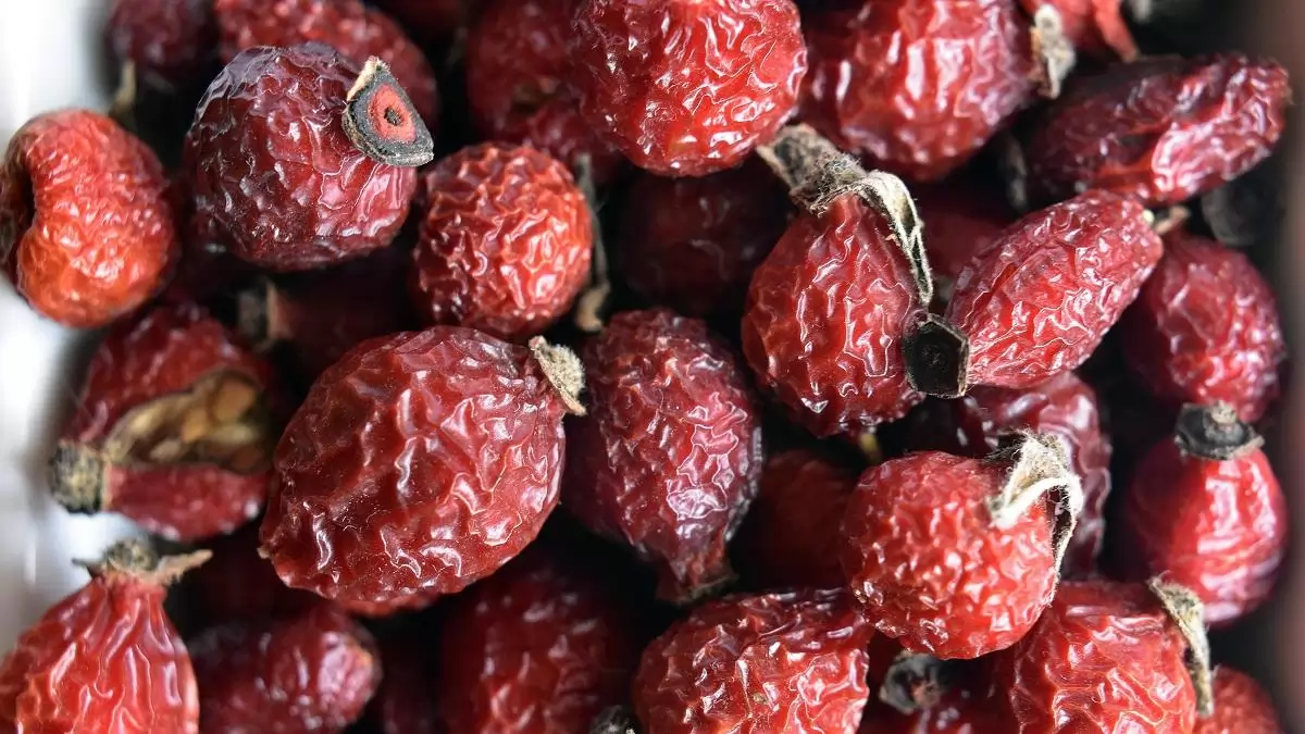 Termékvisszahívás - Csipkebogyó hús 100 g (Herbária, Pannonhalmi) termékek esetében nem engedélyezett növényvédőszer-hatóanyag tartalom miatt