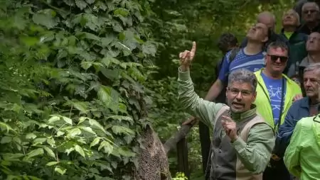 „Muzsikál az erdő” a Hírös Városban