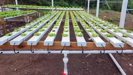 Nincs talaj, nincs probléma – FAO kiemelt történet