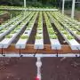 Nincs talaj, nincs probléma – FAO kiemelt történet