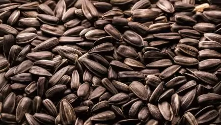 Mezőgazdasági termékek kereskedelme: 24,7 milliárd eurós többlet
