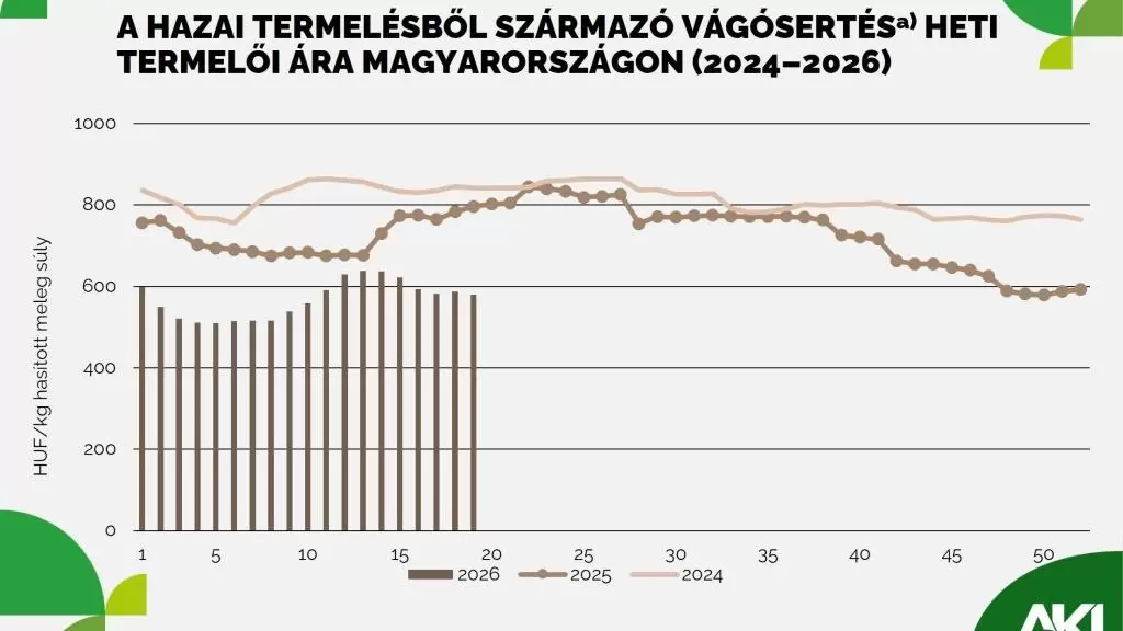 Ötödével csökkent a vágósertés termelői ára