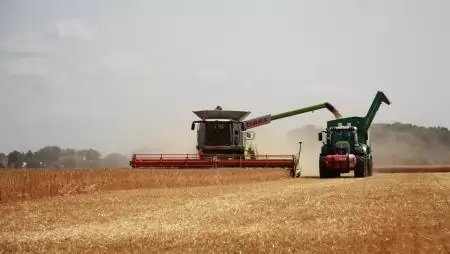 Zajlik az aratás, fokozott figyelmet kér a járművezetőktől az agrárgazdasági kamara