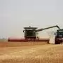 Zajlik az aratás, fokozott figyelmet kér a járművezetőktől az agrárgazdasági kamara