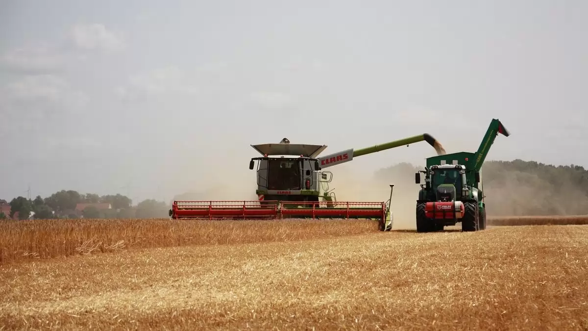 Zajlik az aratás, fokozott figyelmet kér a járművezetőktől az agrárgazdasági kamara