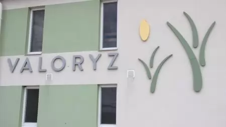 Világszínvonalú rizs- és kölesfeldolgozás a Körösök mentén