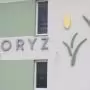 Világszínvonalú rizs- és kölesfeldolgozás a Körösök mentén