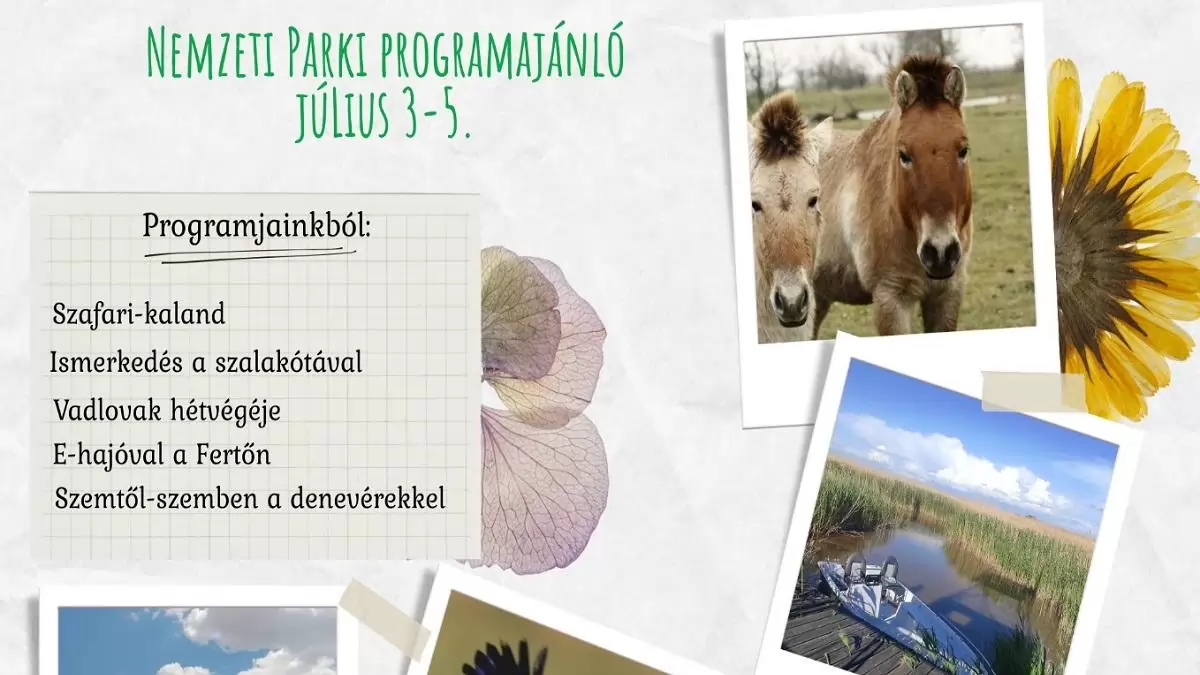 Nemzeti parki programajánló július 3–5.