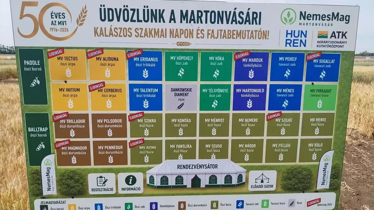 Dicsőségek és a legújabb fajták – A Martonvásári Országos Kalászos Szakmai Nap és Fajtabemutatón jártunk