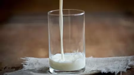 Új trend a tejtermékek között: mit kell tudni az A2 tejről?