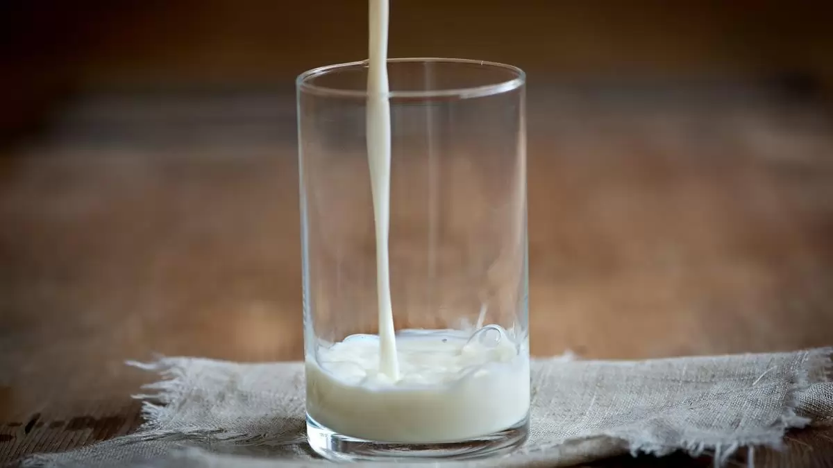 Új trend a tejtermékek között: mit kell tudni az A2 tejről?