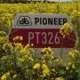 PT326 – A lendületes Pioneer® NextGen repcehibrid, amely a szélsőségek között is előnyt teremt