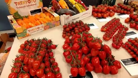 Magyar Paradicsom Napja és Hajtatási Expo 2026 (június 2., Szeged)