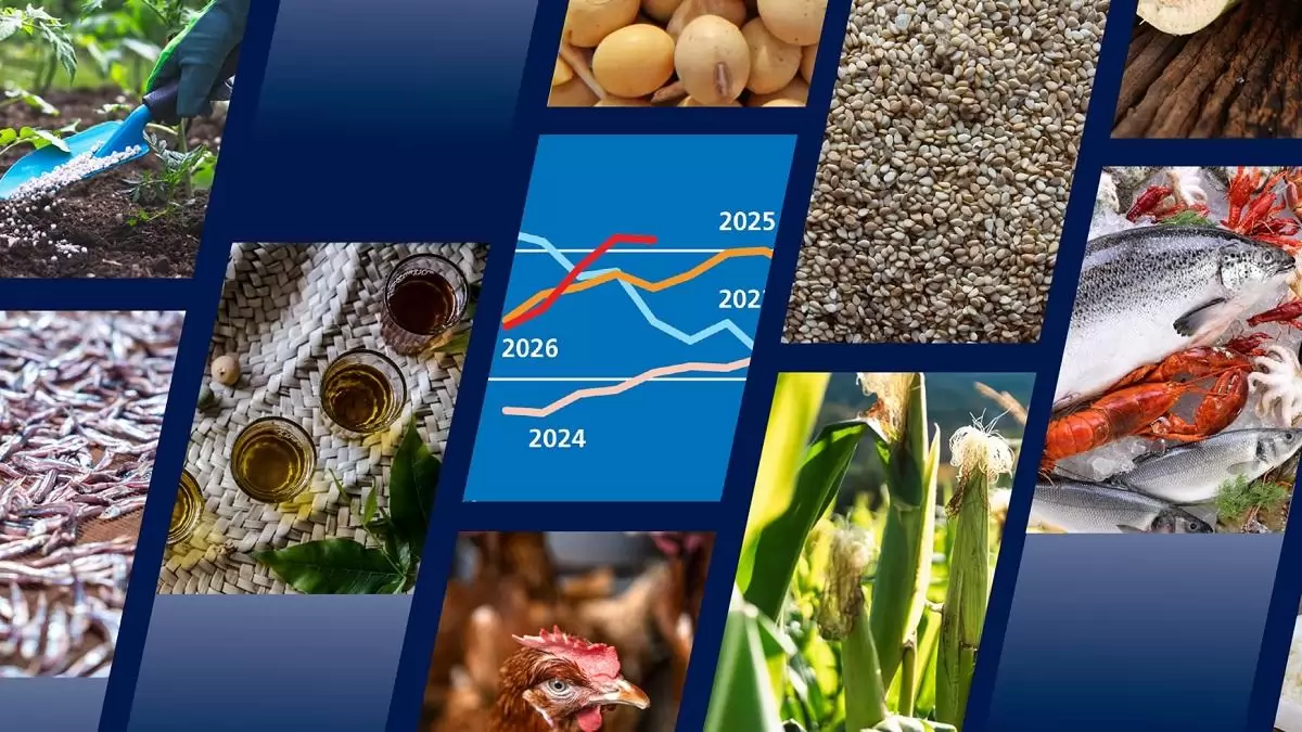 FAO Élelmiszer-kilátások: A globális élelmiszerpiaci trendek növekvő geopolitikai és időjárási kockázatokkal néznek szembe