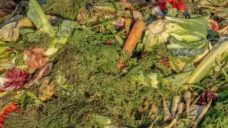 Mennyi élelmiszerhulladék keletkezik a háztartásokban? A Nébih felméréséből kiderül