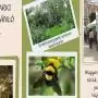 Nemzeti Park Programajánló júnis 5-7.