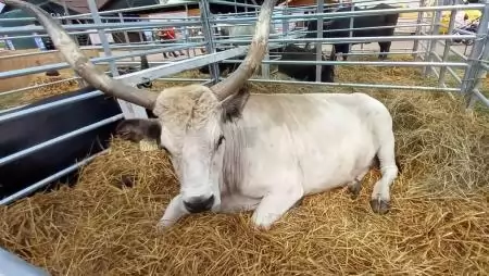  35. FARMER-EXPO Nemzetközi Mezőgazdasági és Élelmiszeripari Szakkiállítás