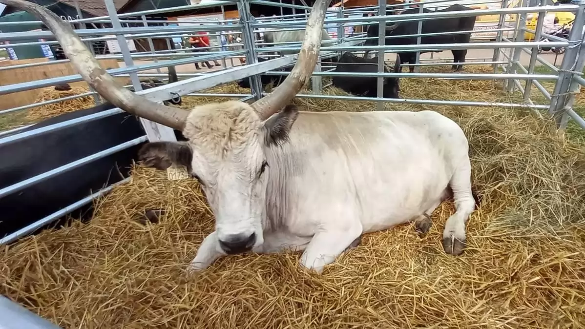  35. FARMER-EXPO Nemzetközi Mezőgazdasági és Élelmiszeripari Szakkiállítás