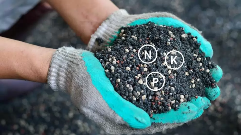 Az Európai Bizottság 540 millió eurós támogatást nyújt a közel-keleti válság okozta műtrágya- és energiaválsággal küzdő gazdálkodóknak