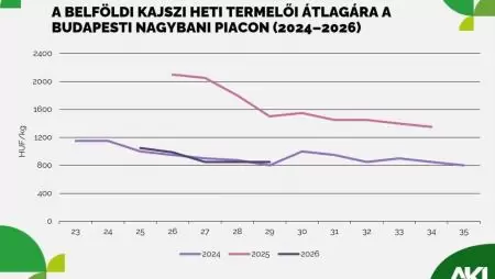 Kevesebb mint felére esett a kajszi termelői ára