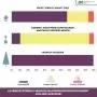 A szabadföldi termesztés erősödése jellemezte a vágott virágok termelését 2025-ben