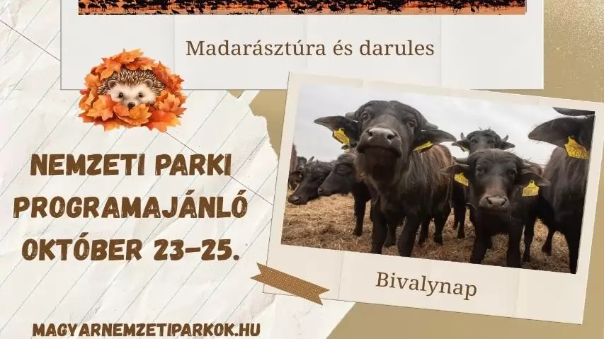 Nemzeti parki programajánló október 23-25.