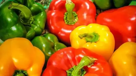 Jelentősen nőtt az első féléves spanyol paprikaexport értéke 