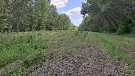 Natura 2000 kompenzációs intézkedések – élőhely-helyreállítás a Táti-szigetcsoportban