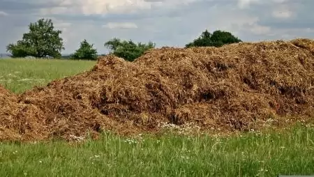 A hulladéktól az erőforrásig